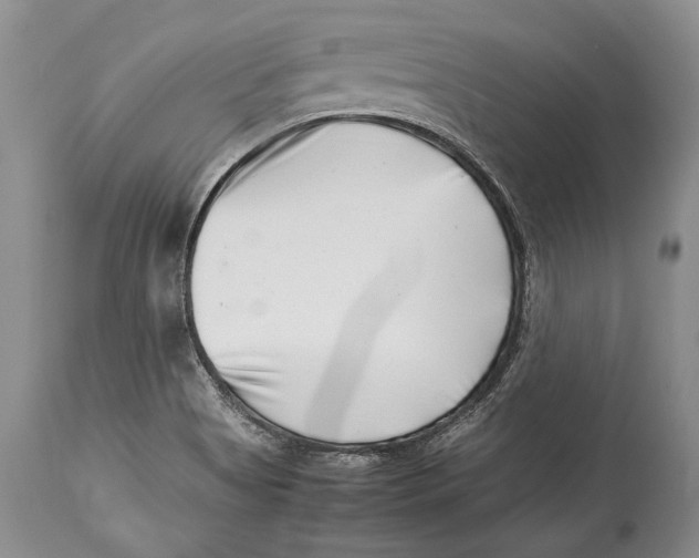 X0000113991513200910231718