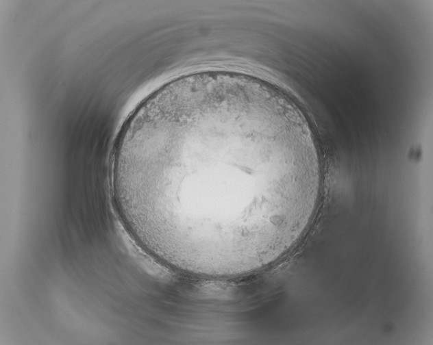 X0000113991514200910231718