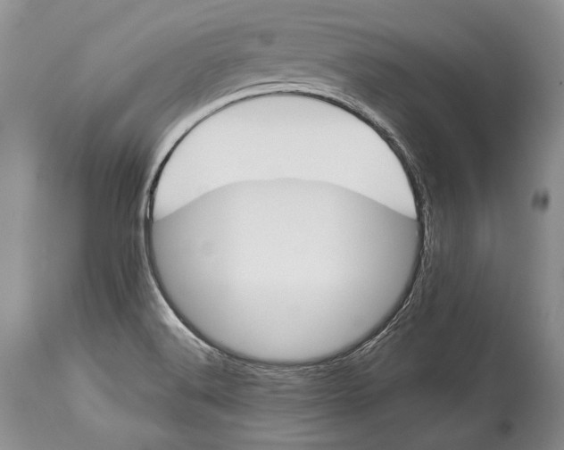 X0000113991516200910231718