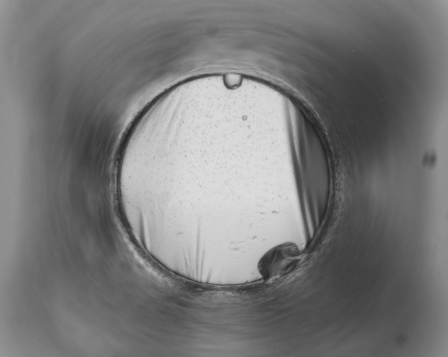 X0000113991517200910231718