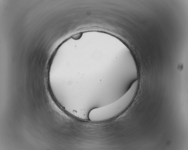 X0000113991518200910231718