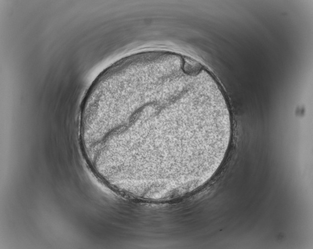 X0000113991519200910231718