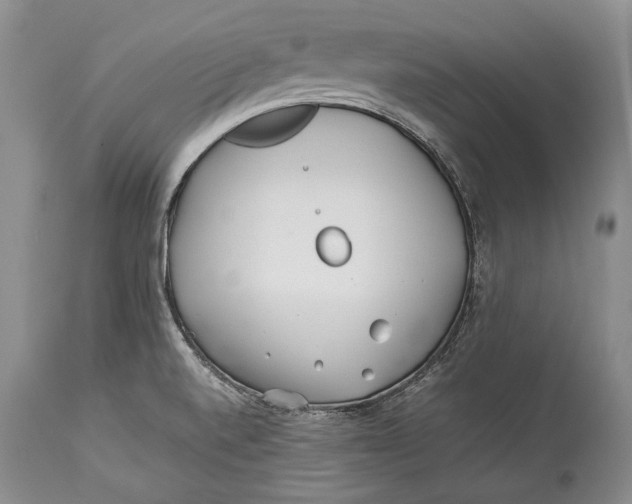 X0000113991520200910231718