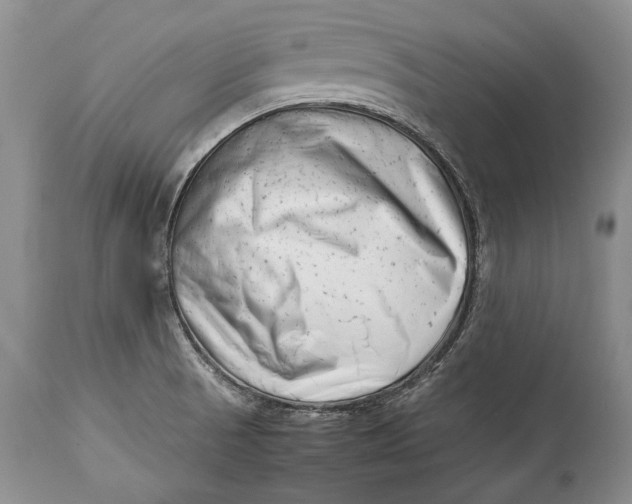 X0000113991521200910231718