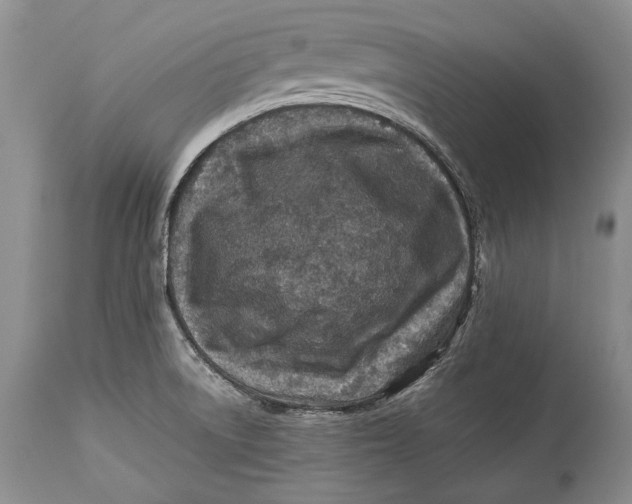 X0000113991522200910231719