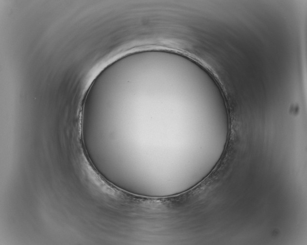 X0000113991524200910231719