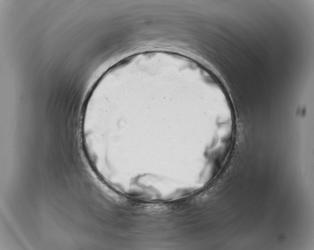 X0000113991525200910231719