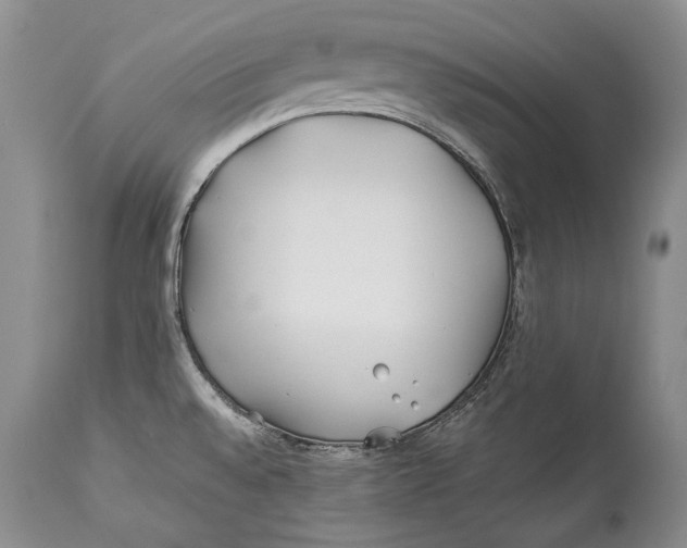 X0000113991528200910231719