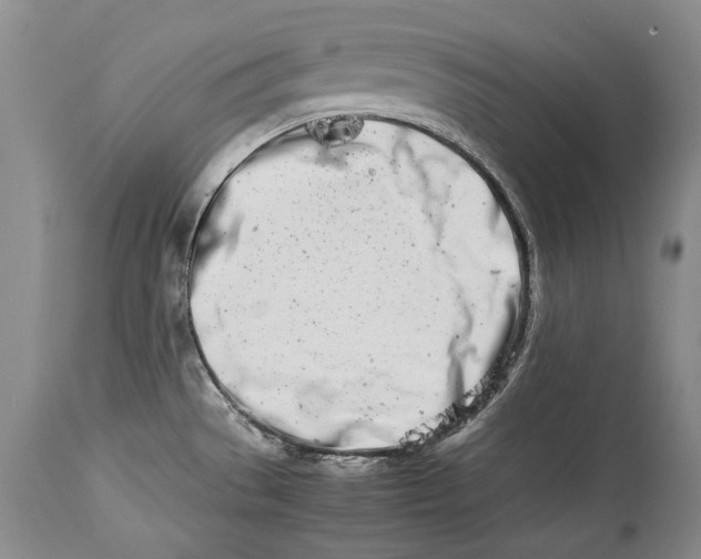 X0000113991529200910231719