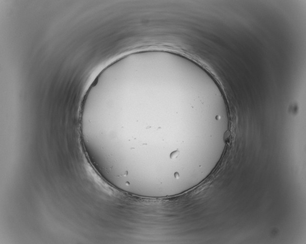 X0000113991532200910231719