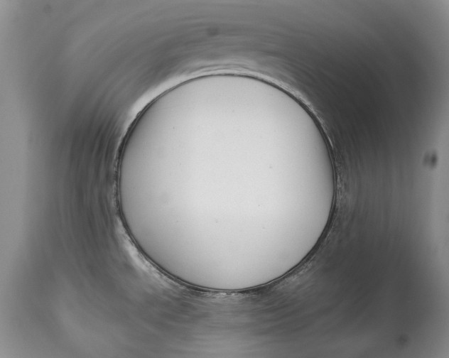 X0000113991534200910231719