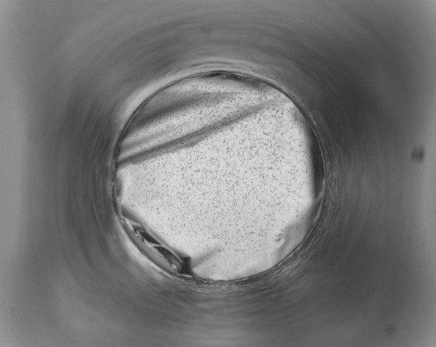 X0000113991535200910231719