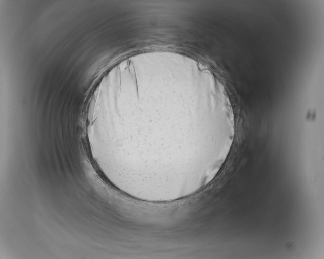 X0000113990002200911131128