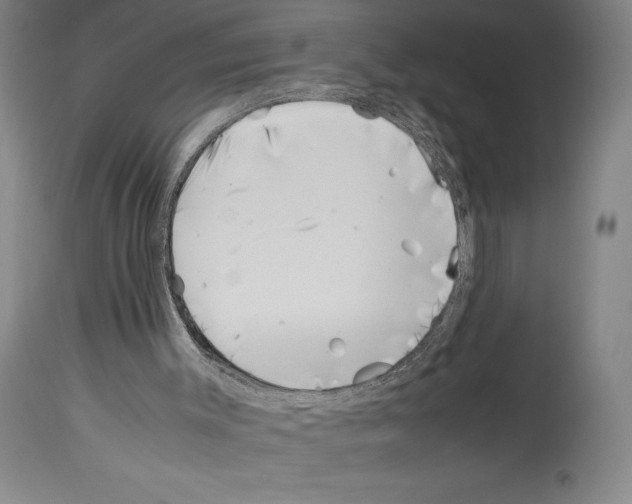 X0000113990003200911131128