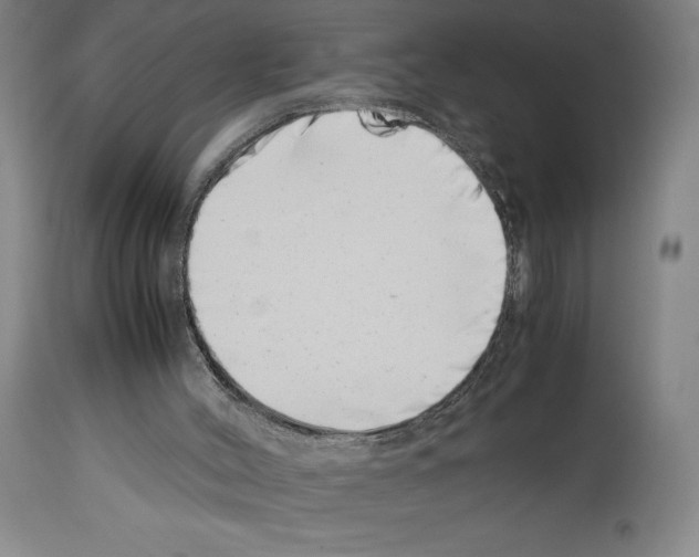 X0000113990004200911131128