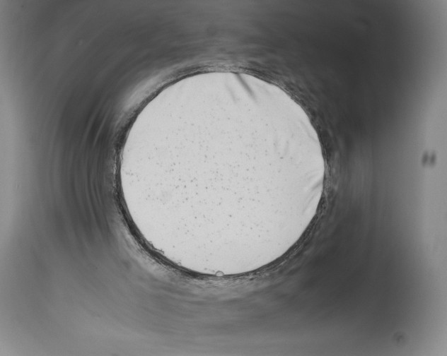 X0000113990005200911131128