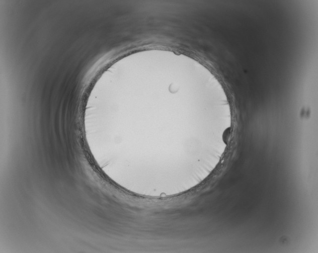 X0000113990007200911131128