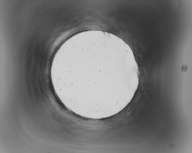 X0000113990008200911131128