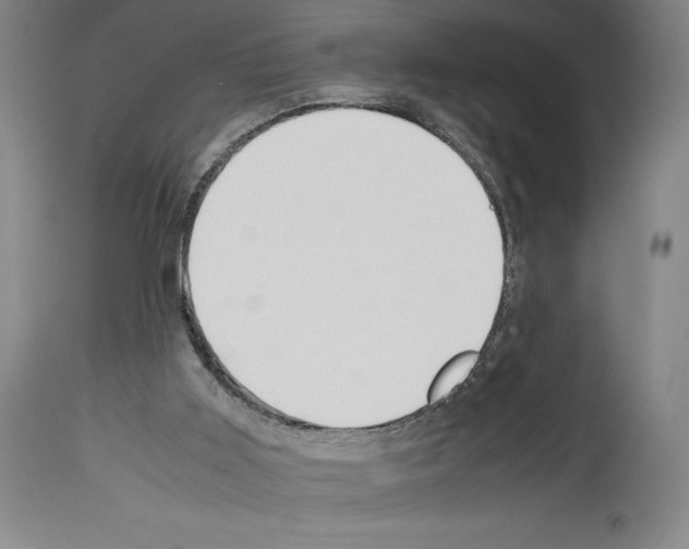 X0000113990011200911131128