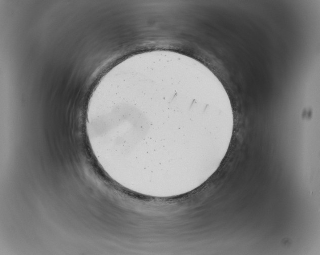 X0000113990012200911131128