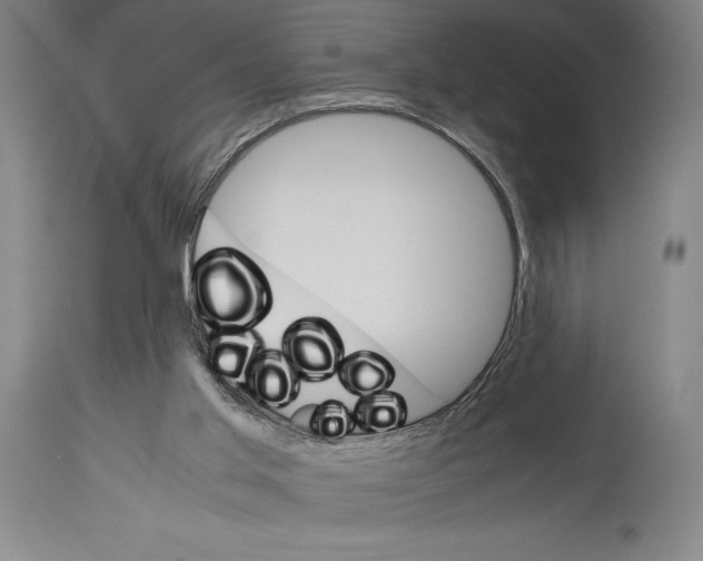 X0000113990013200911131128