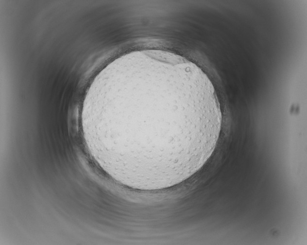 X0000113990014200911131128