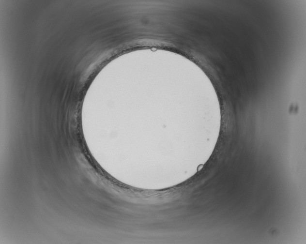 X0000113990015200911131128