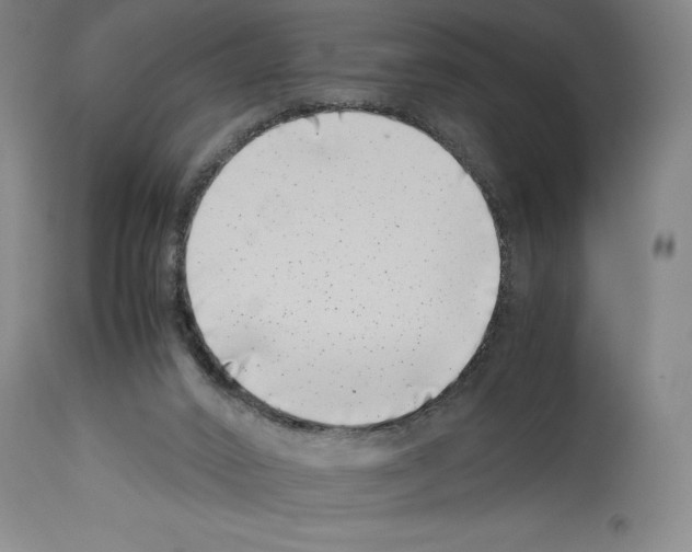 X0000113990016200911131128