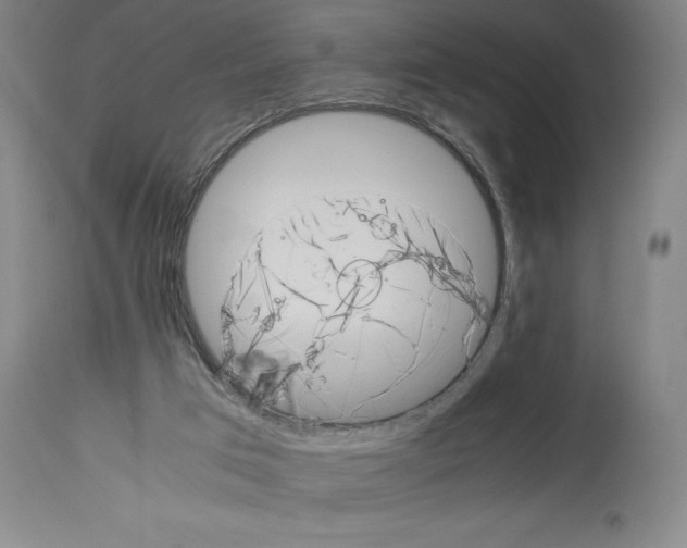 X0000113990017200911131128