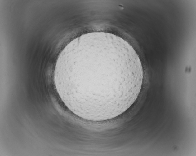 X0000113990018200911131128