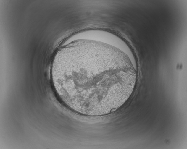 X0000113990019200911131128