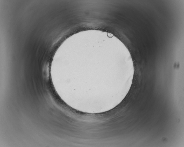 X0000113990020200911131128