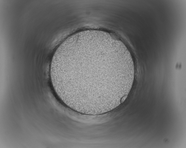 X0000113990023200911131128