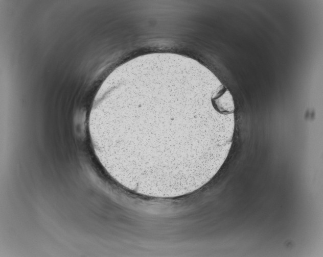 X0000113990024200911131128