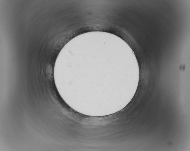 X0000113990025200911131128