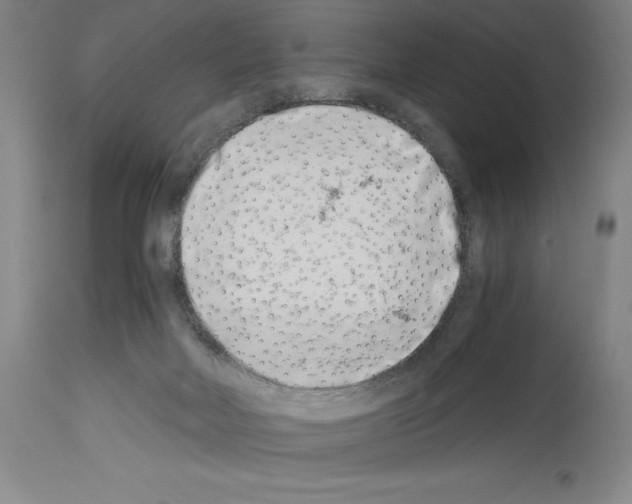 X0000113990026200911131128