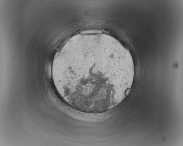 X0000113990027200911131128