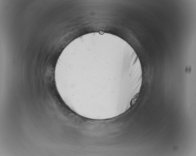 X0000113990029200911131128