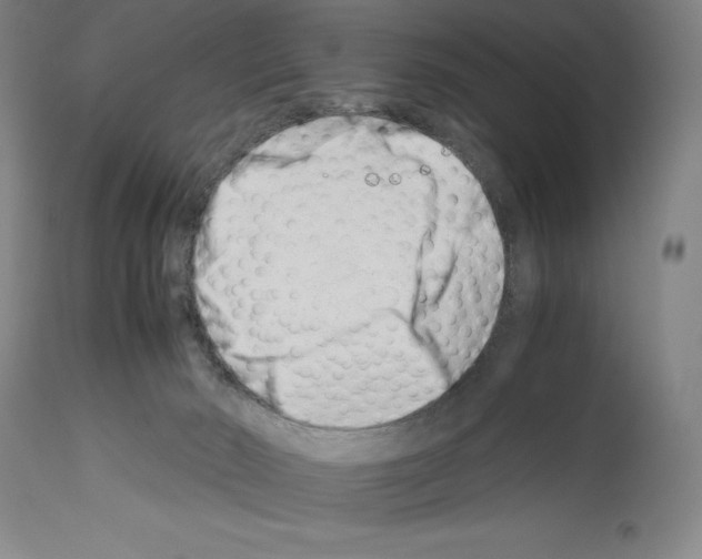 X0000113990030200911131128