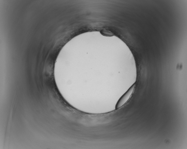 X0000113990033200911131128