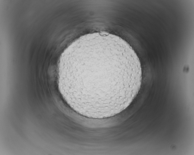 X0000113990034200911131128