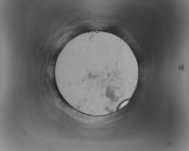 X0000113990035200911131128