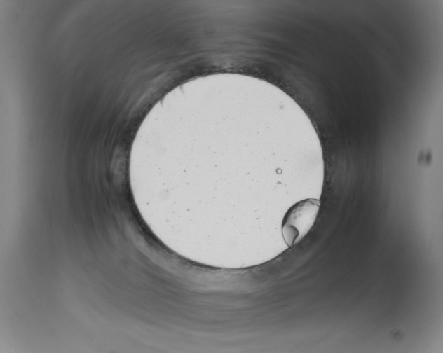 X0000113990036200911131128