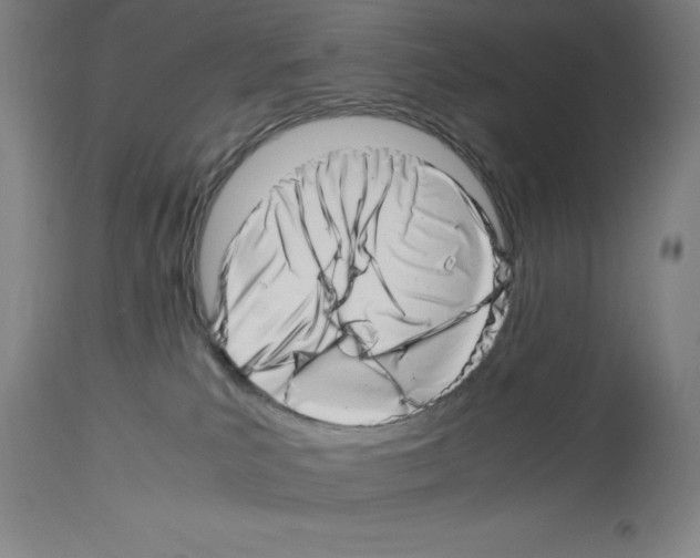 X0000113990039200911131128