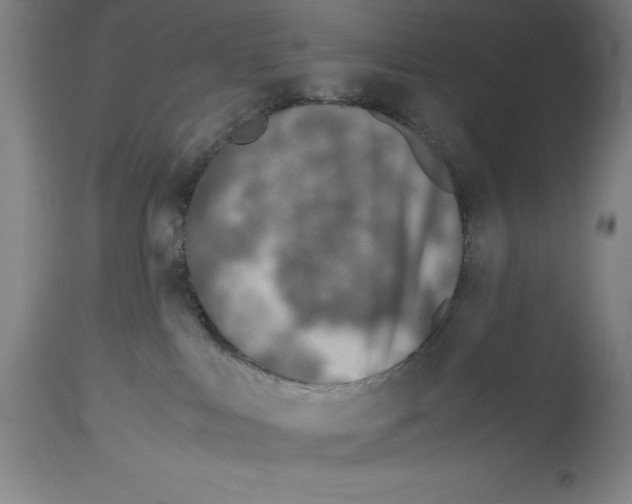 X0000113990043200911131127