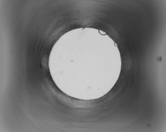 X0000113990044200911131127