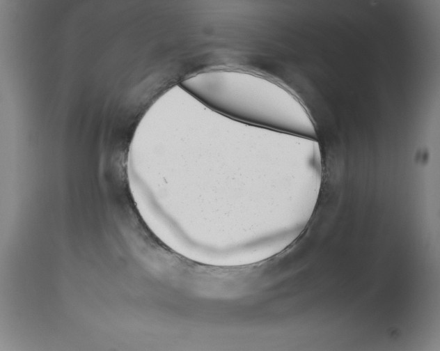 X0000113990045200911131127