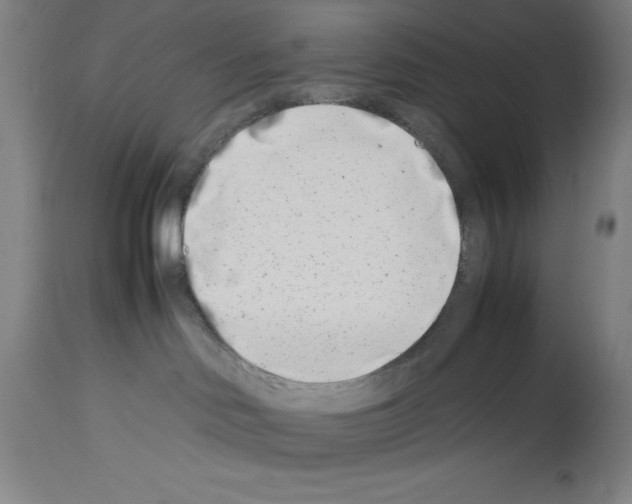 X0000113990046200911131127