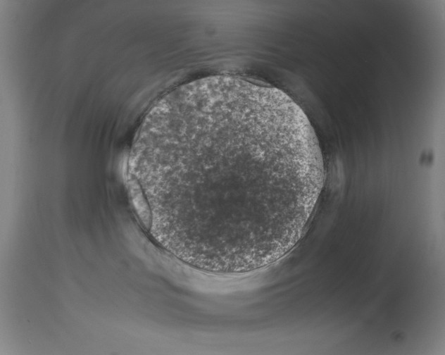 X0000113990047200911131127