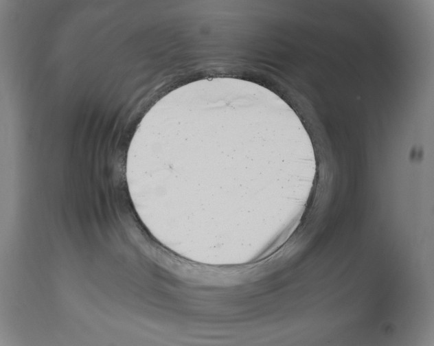 X0000113990048200911131127